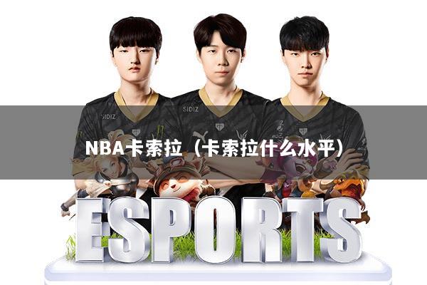 NBA卡索拉(卡索拉什么水平)